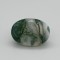 Tree Agate  7.42 Ct Good Quality